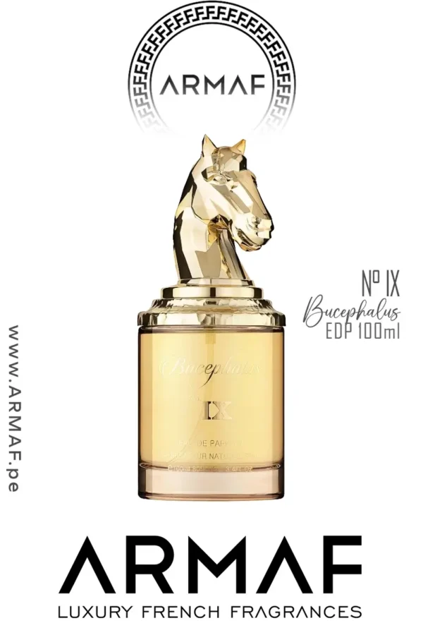 Bucephalus N° IX